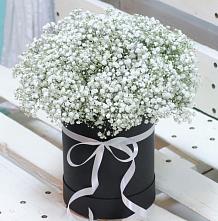 Цветочная композиция из Гипсофила в шляпной коробке #REPLACE_PRED# Богоявленской